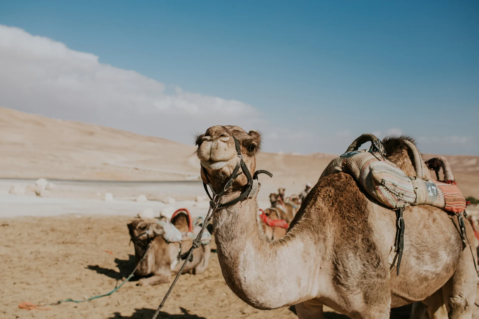Excursion en privée - Sortie privative et sur-mesure au départ du Riad Arrahma