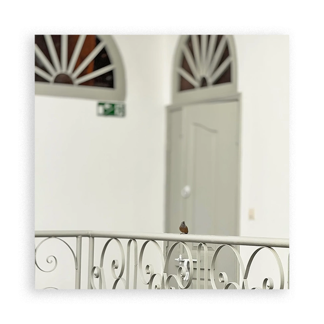 Au cœur du lobby du Riad Arrahma, un vase en terre cuite emblématique de Marrakech, sublimé par une végétation raffinée, apporte une touche authentique autour de la piscine du patio.